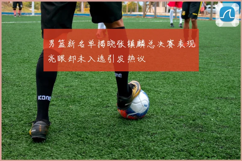 男篮新名单揭晓张镇麟总决赛表现亮眼却未入选引发热议