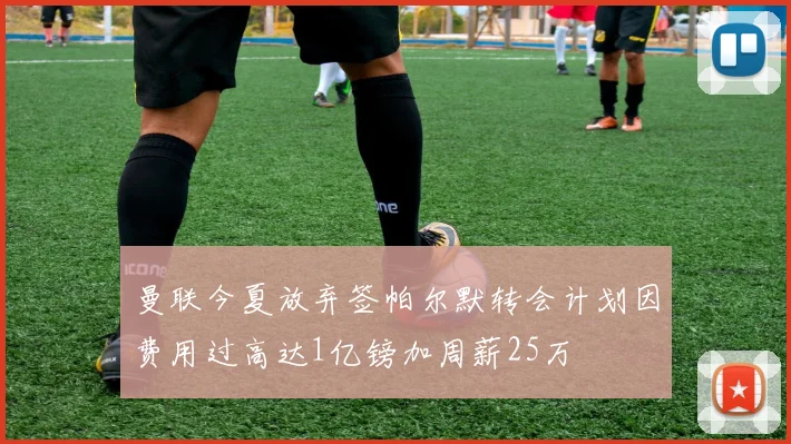 曼联今夏放弃签帕尔默转会计划因费用过高达1亿镑加周薪25万